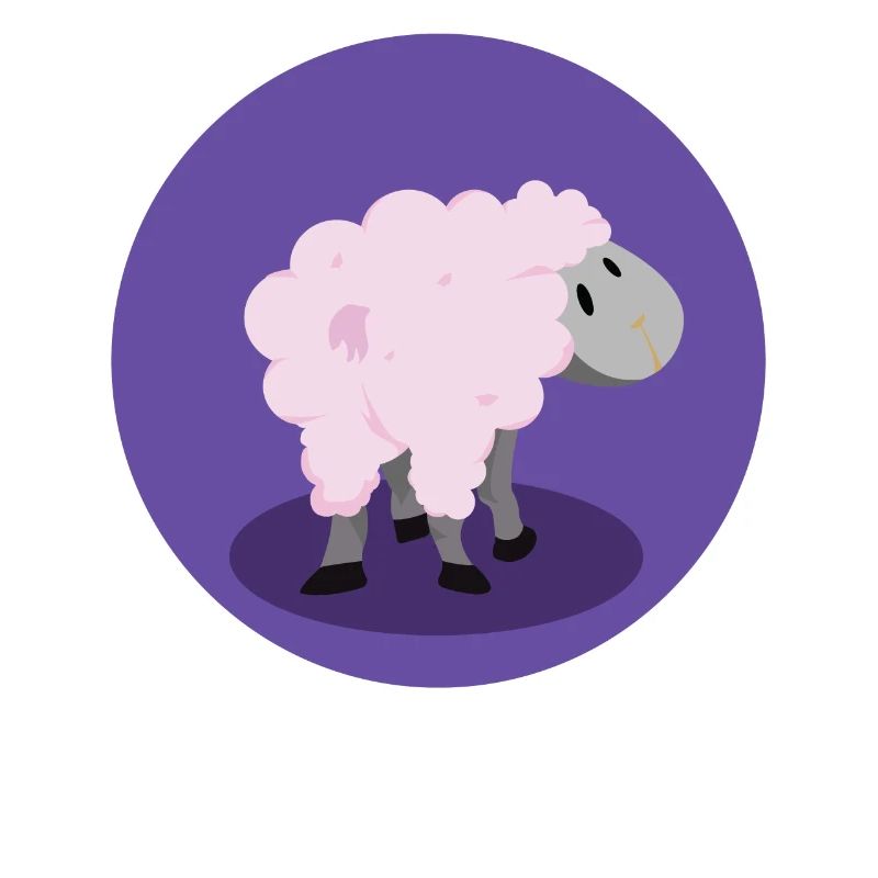 Nice sheep