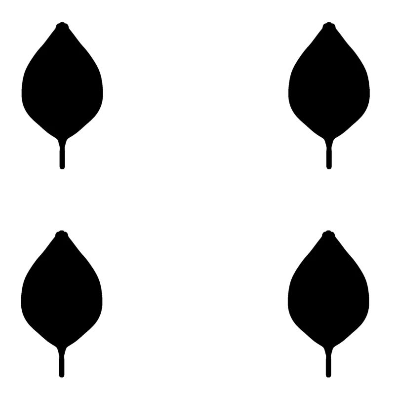 four leaves leaf nature pattern