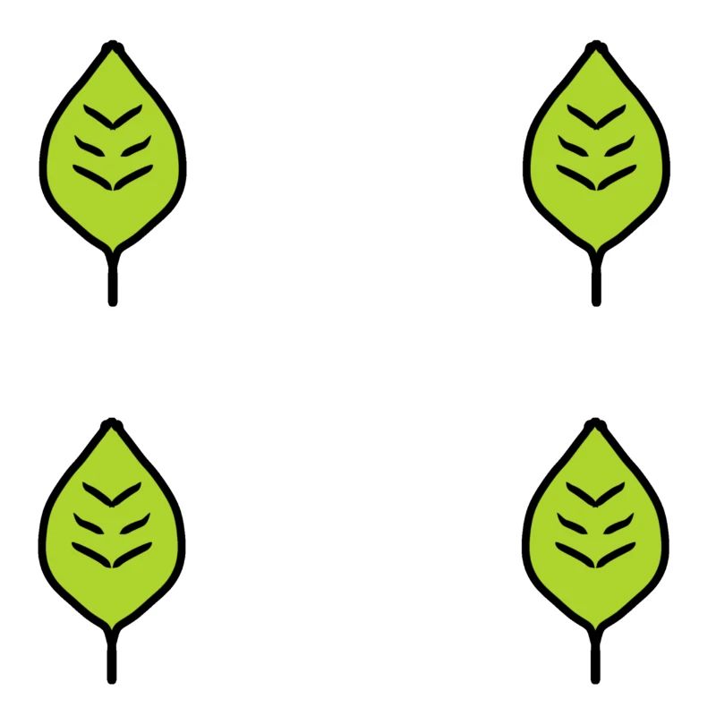 four leaves leaf green nature pattern