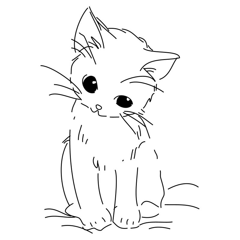 chaton timide