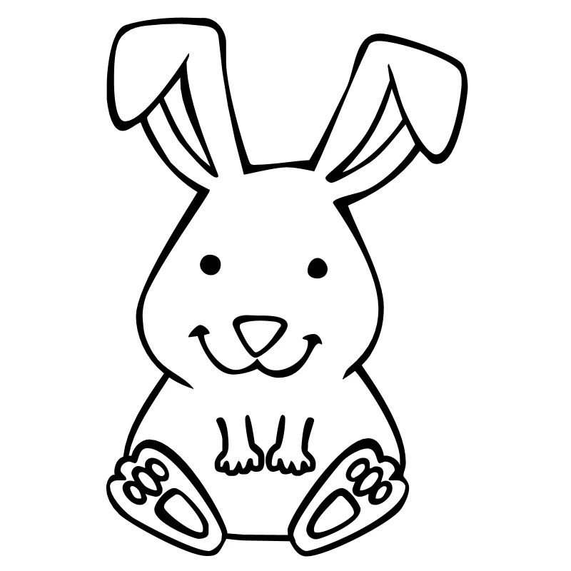 cute bunny
