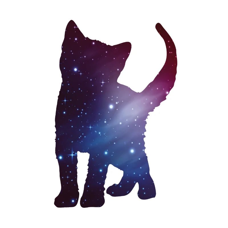 Cat Kitten Silhouette Space Cat Space Gift