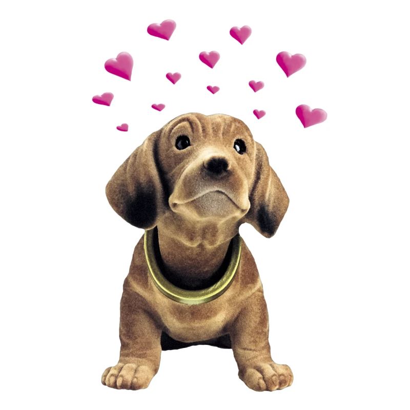 Wiggle dachshund