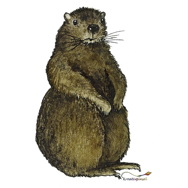 Murmeltier