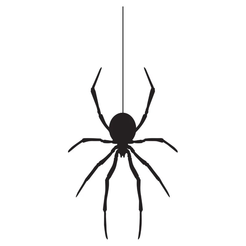 Spinne