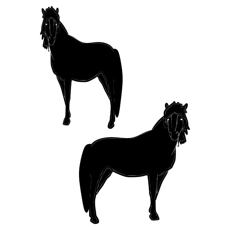 Haflinger in Schwarz