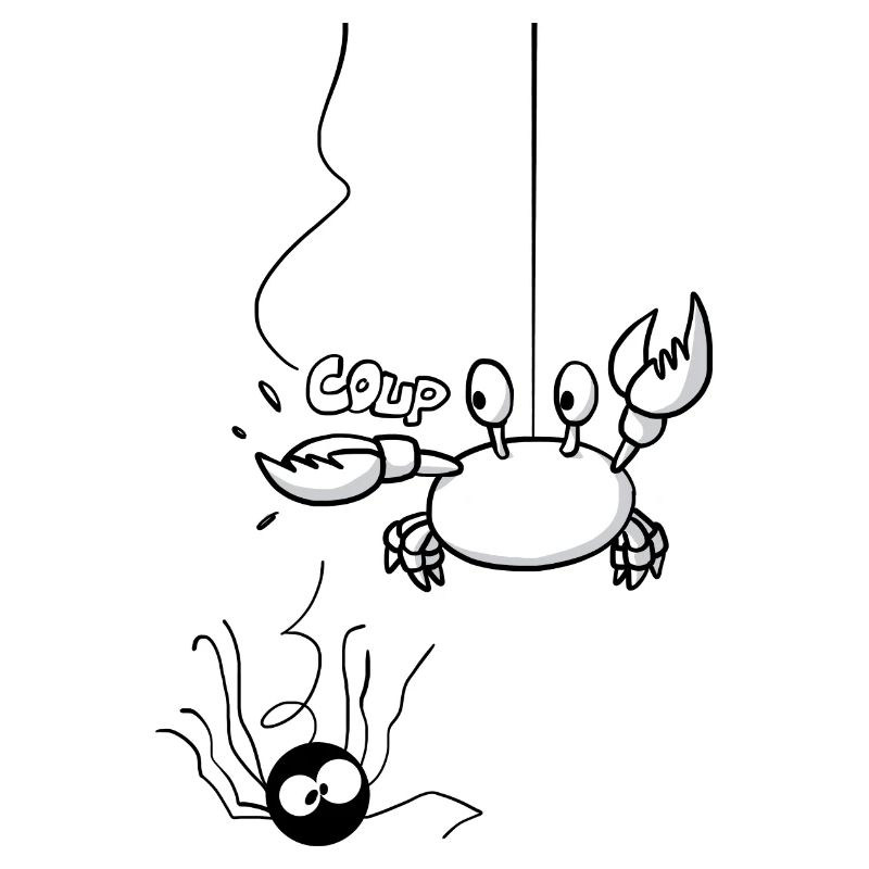 Beth die Spinne und Steve die Krabbe 2