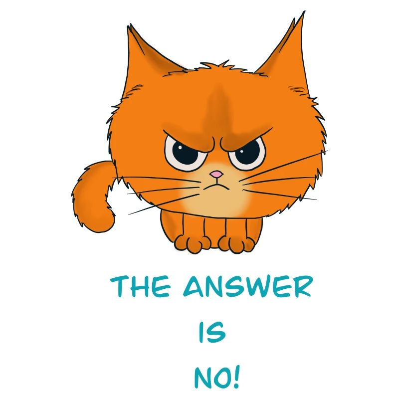 Cat: "The answer is no!"