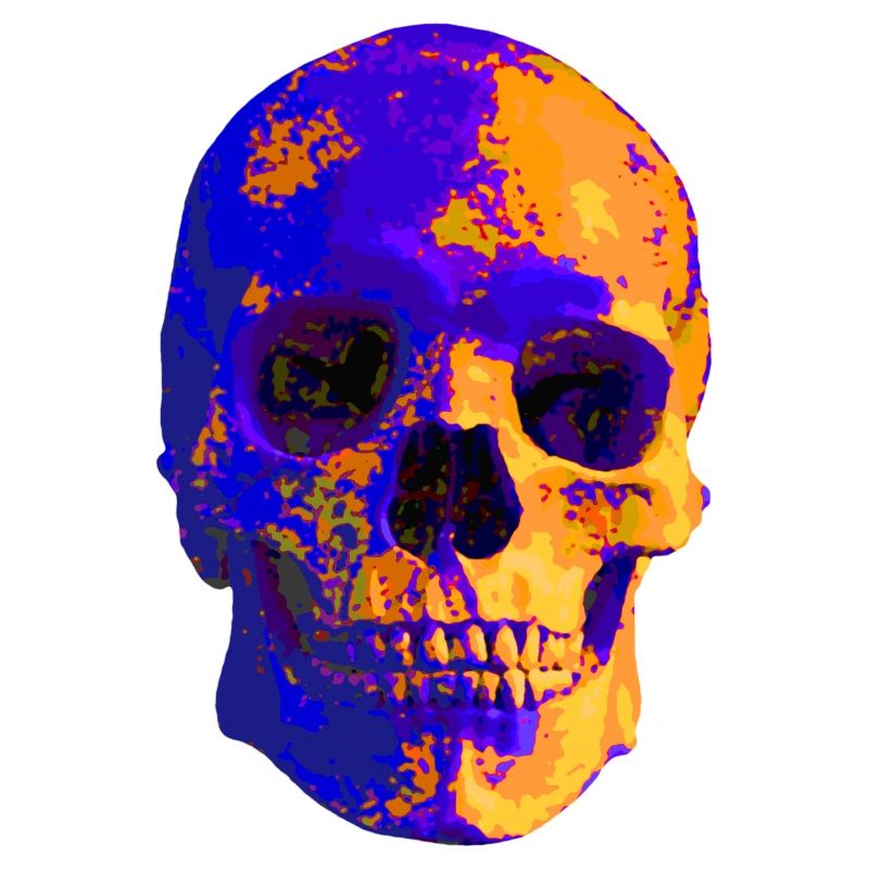 Bunter Skull