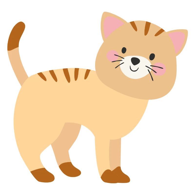 Chat mignon