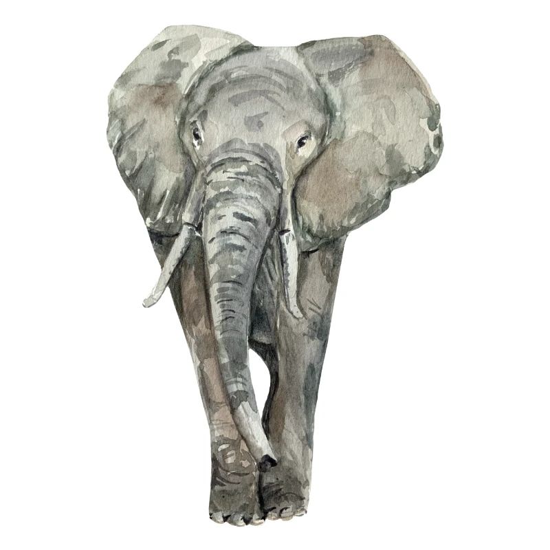 Elefant