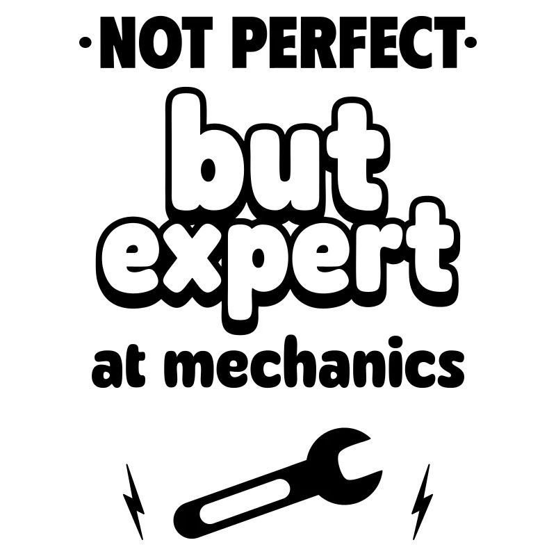 expert at Mechanics
