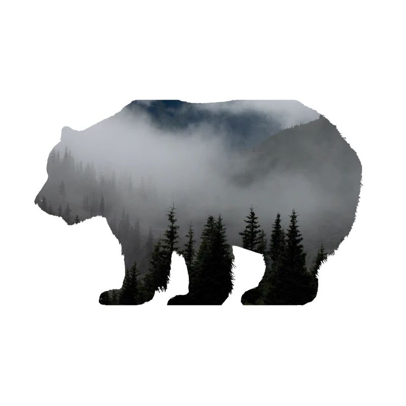 Forester Bear