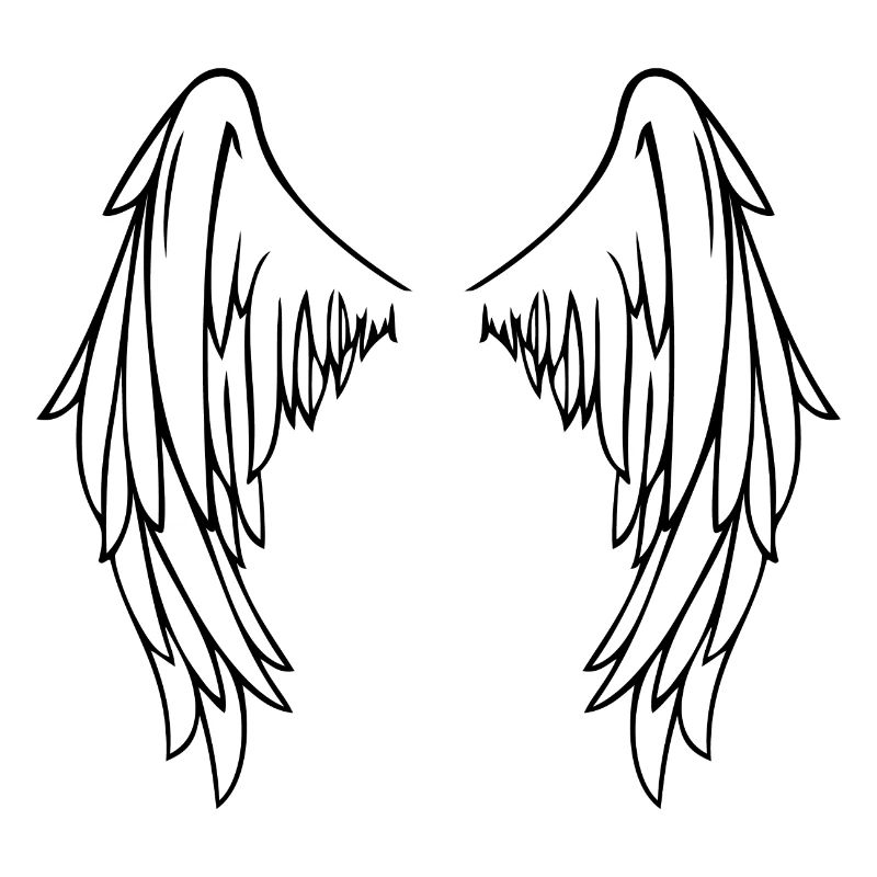 Ailes De