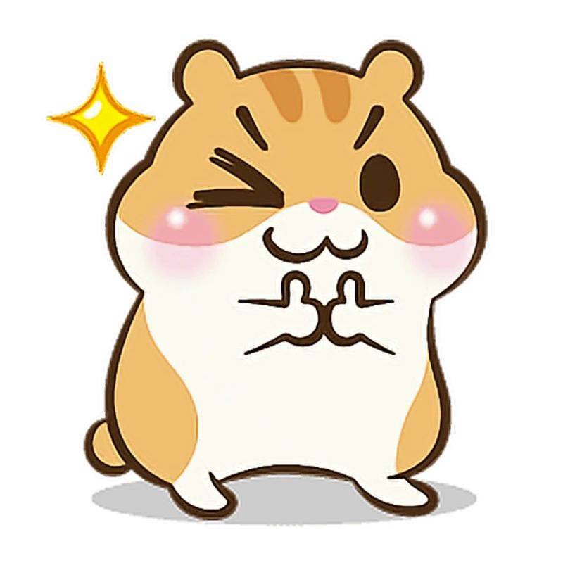 Geschenk Kinder Hamster