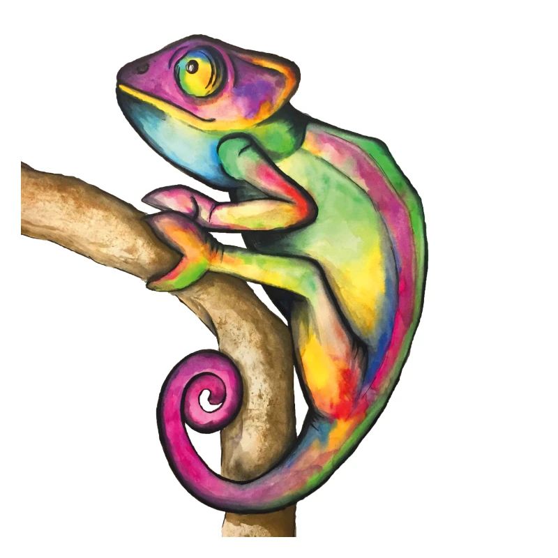 Chamäleon