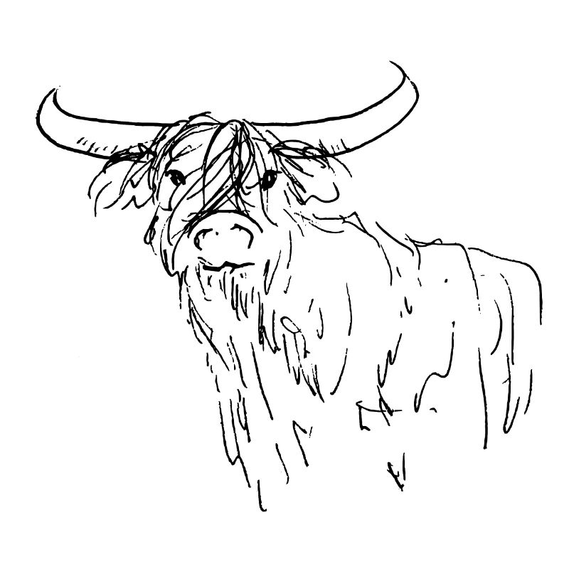 Dear Scottish Highlander