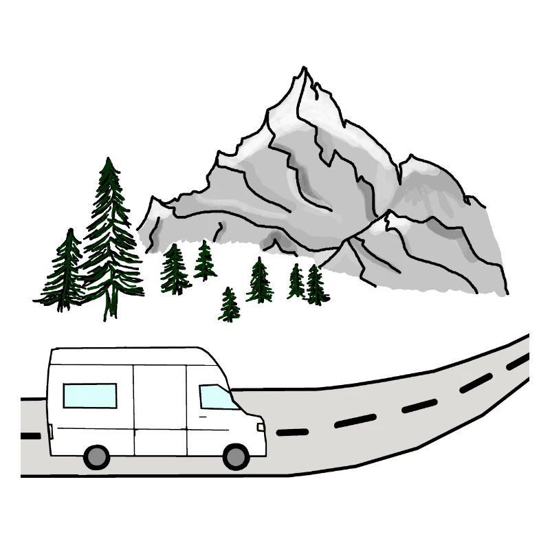 VAN LIFE VANLIFER NOMADS