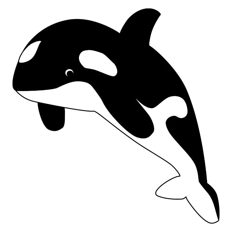Orca / Killer Whale