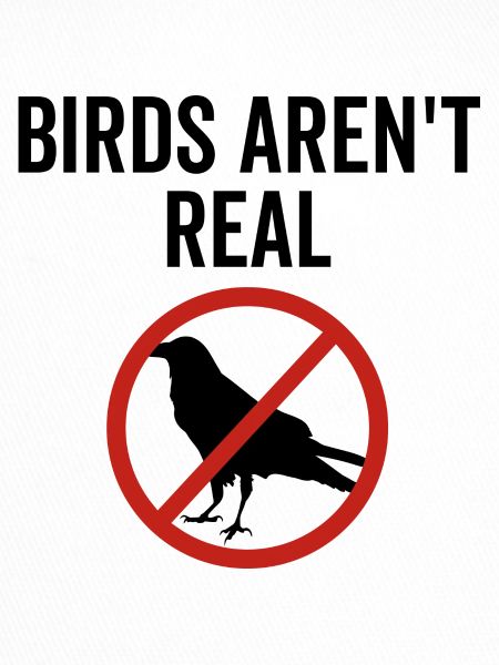 Birds Aren't Real