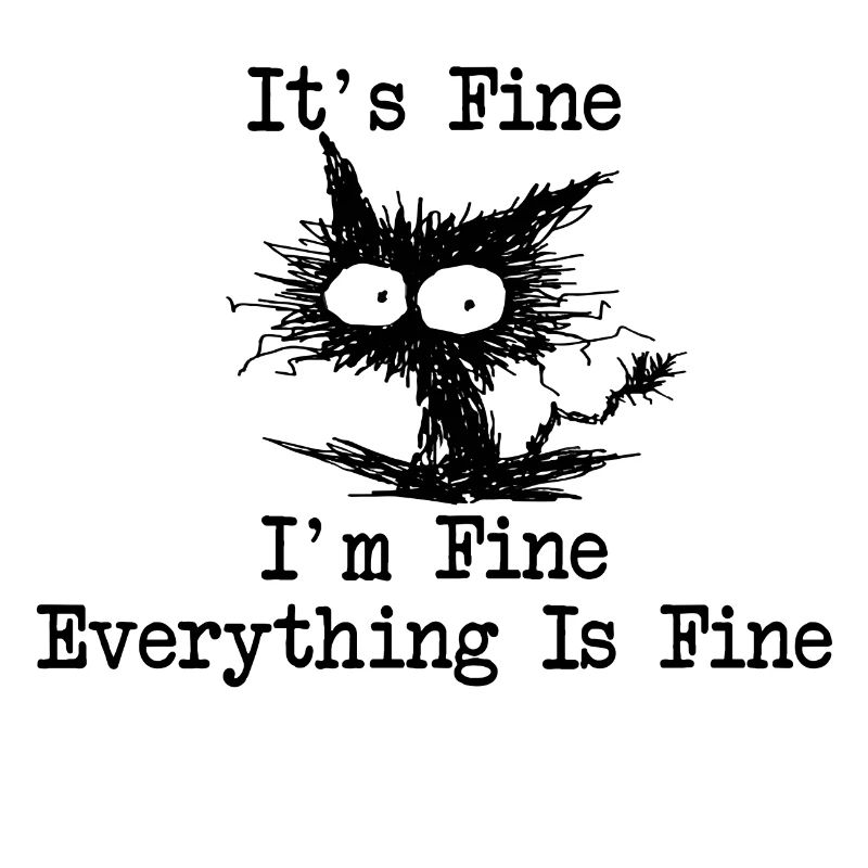 It ́s Fine I ́m Fine Everything Is Fine