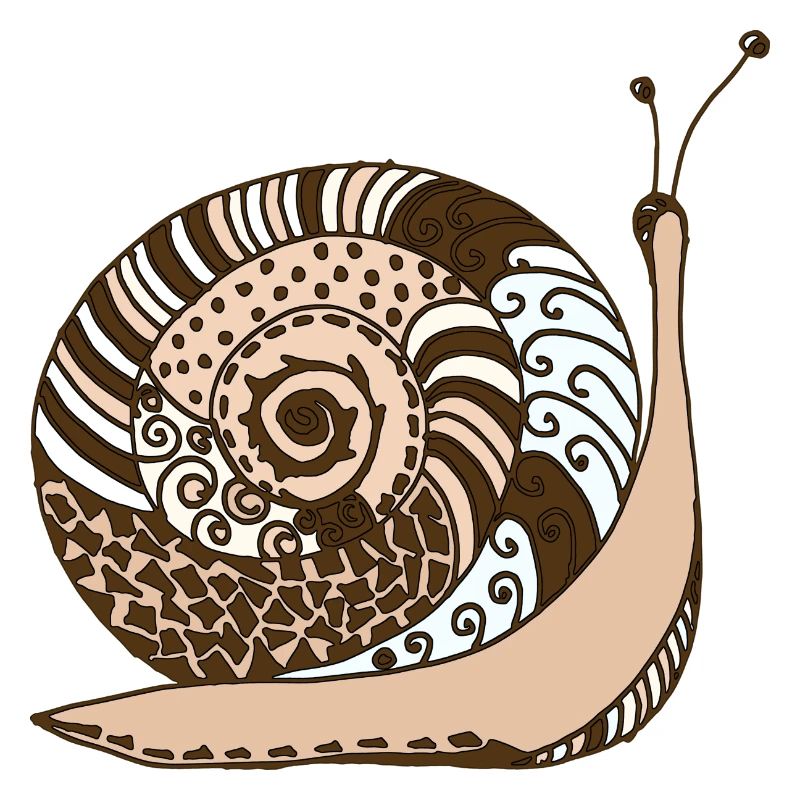 Snail