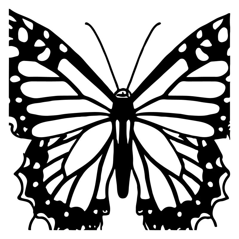 Schmetterling Illustration Geschenkidee