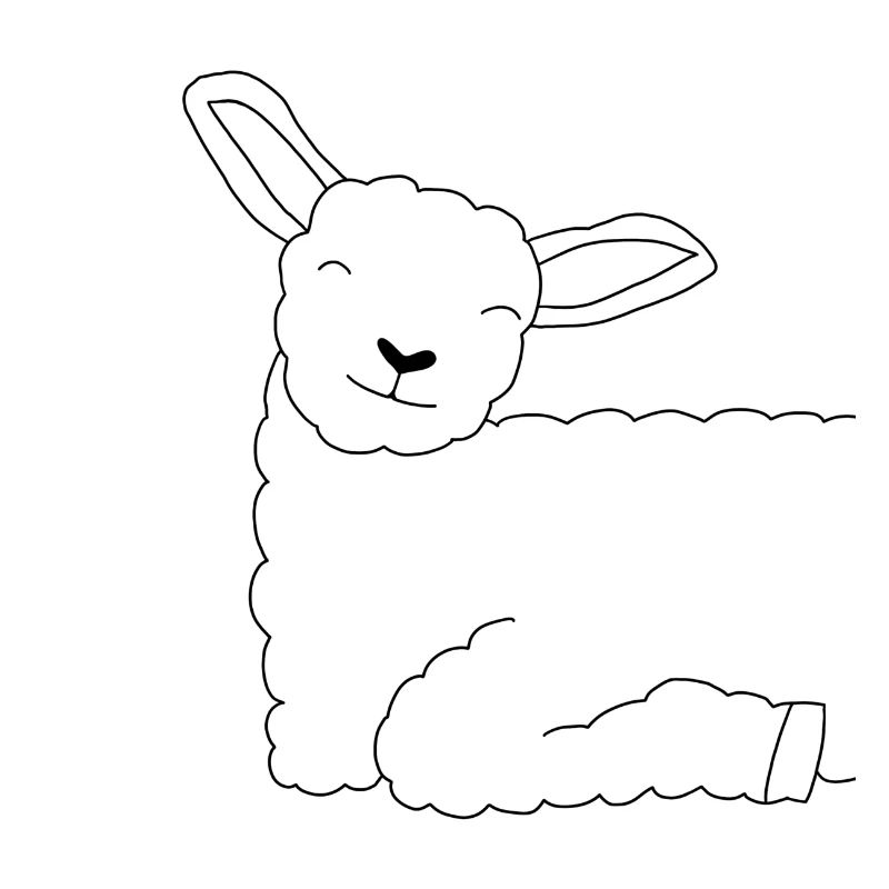 Happy sheep