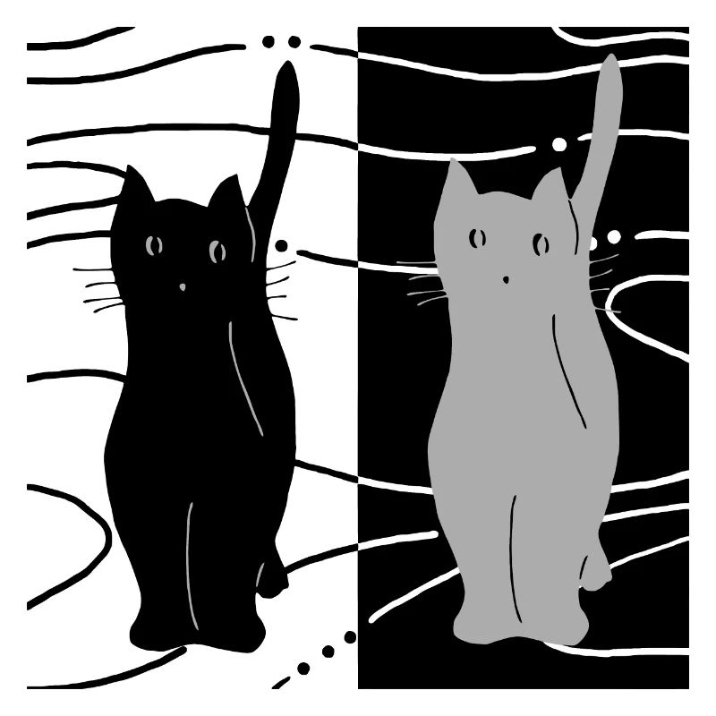 Chats