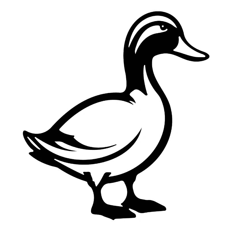 Duck Birds Ducks