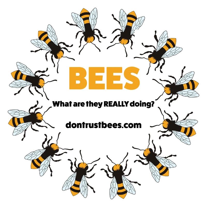 Bees - Conspiracy Theory