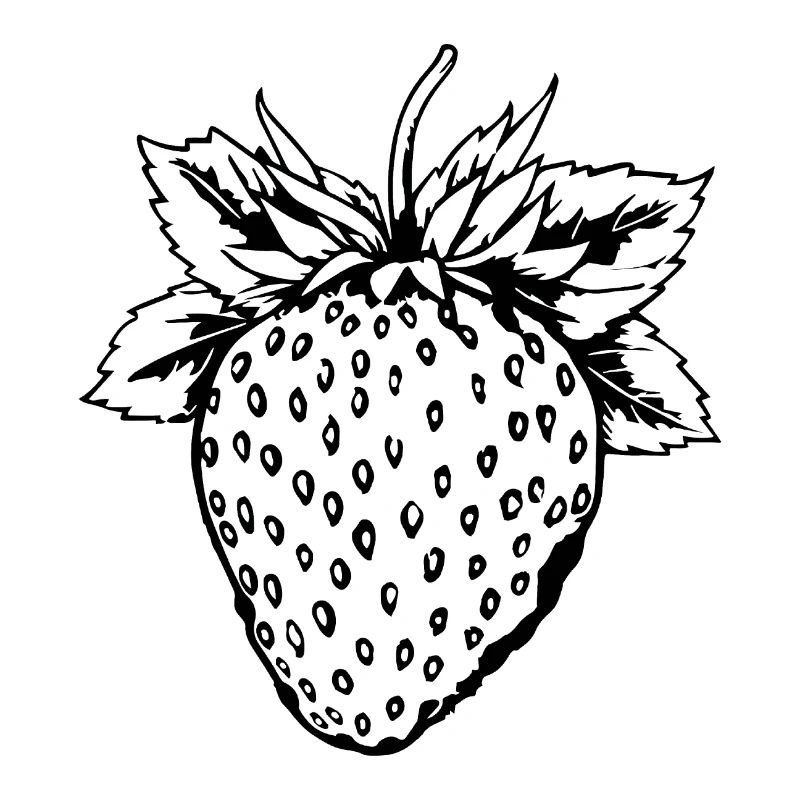 Fraise Fruit Fruit