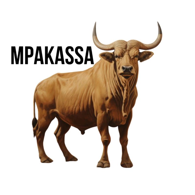 MPAKASSA
