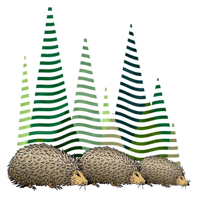 Hedgehogs