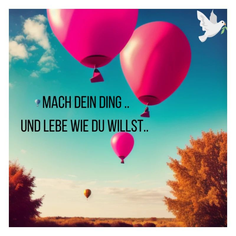 Luftballon Geschenkidee
