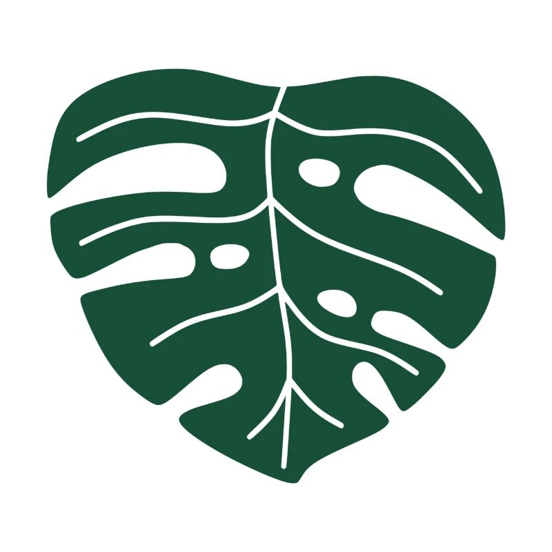 monstera leaf