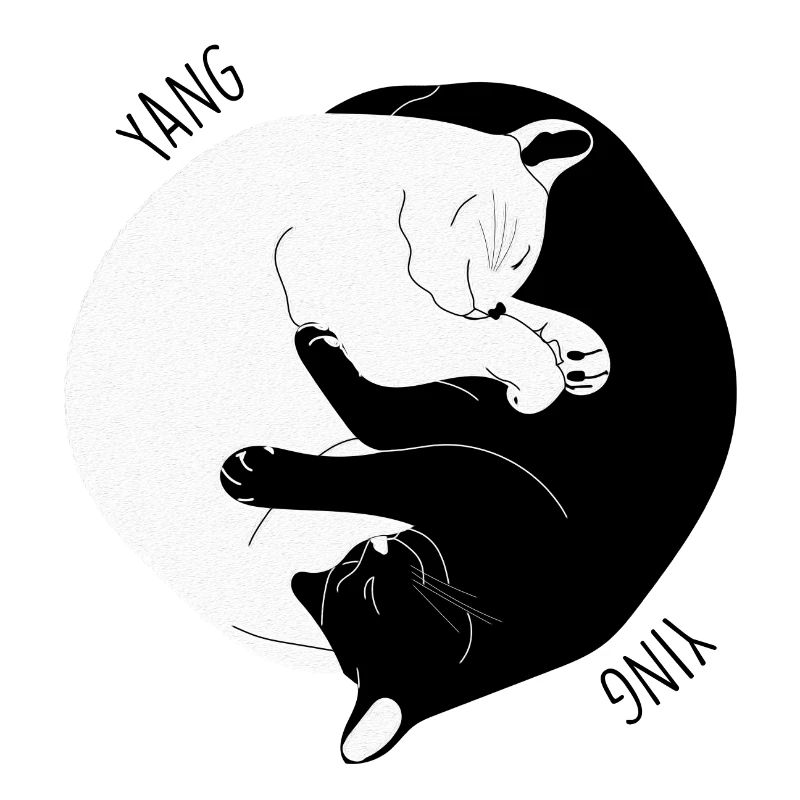 I Ching Cat