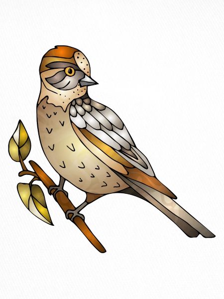 Bunter Vogel
