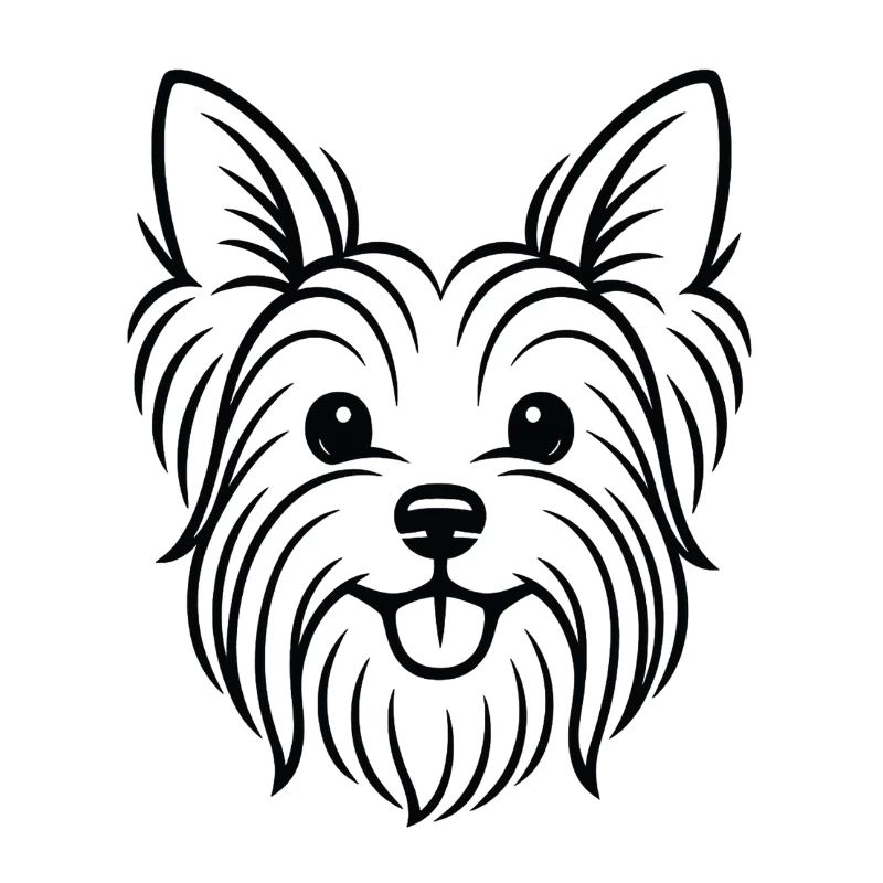 TinyPaws Black & White Edition Yorkshire Terrier b