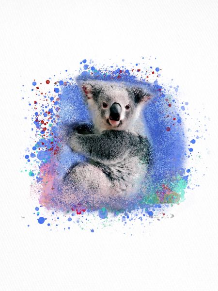 koala ,blau,graffiti,malerei,koala bär