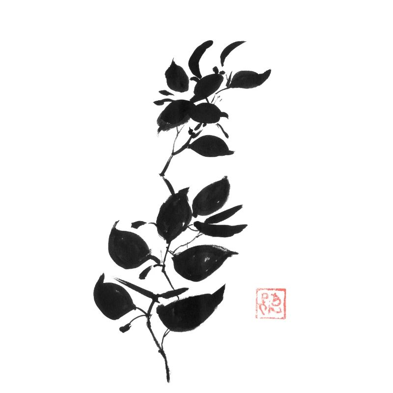 branch
