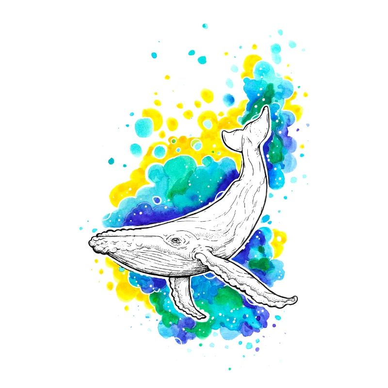 Humpback whale