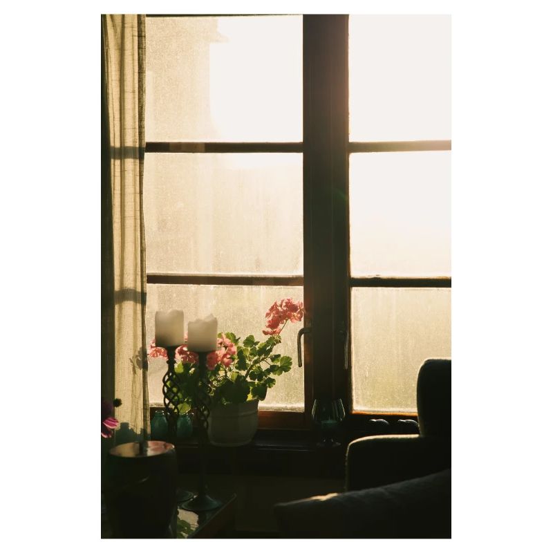sunlight