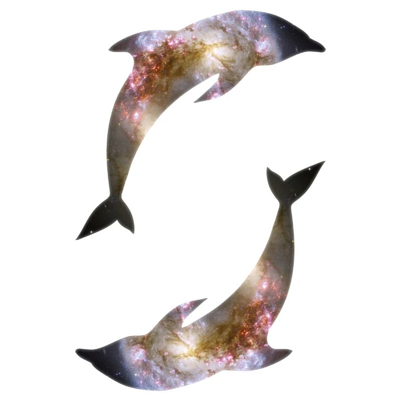 Dolphins Galaxy