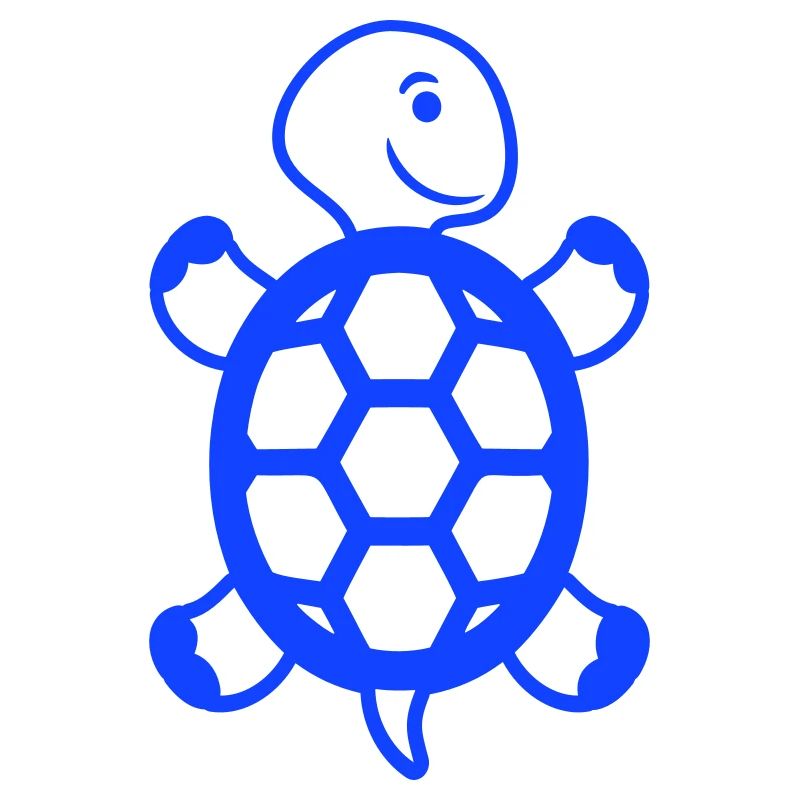 Turtle Holds Tight Wall Climbing Cute