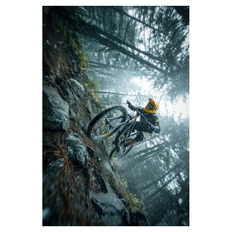 Winter Forest Quad Quest