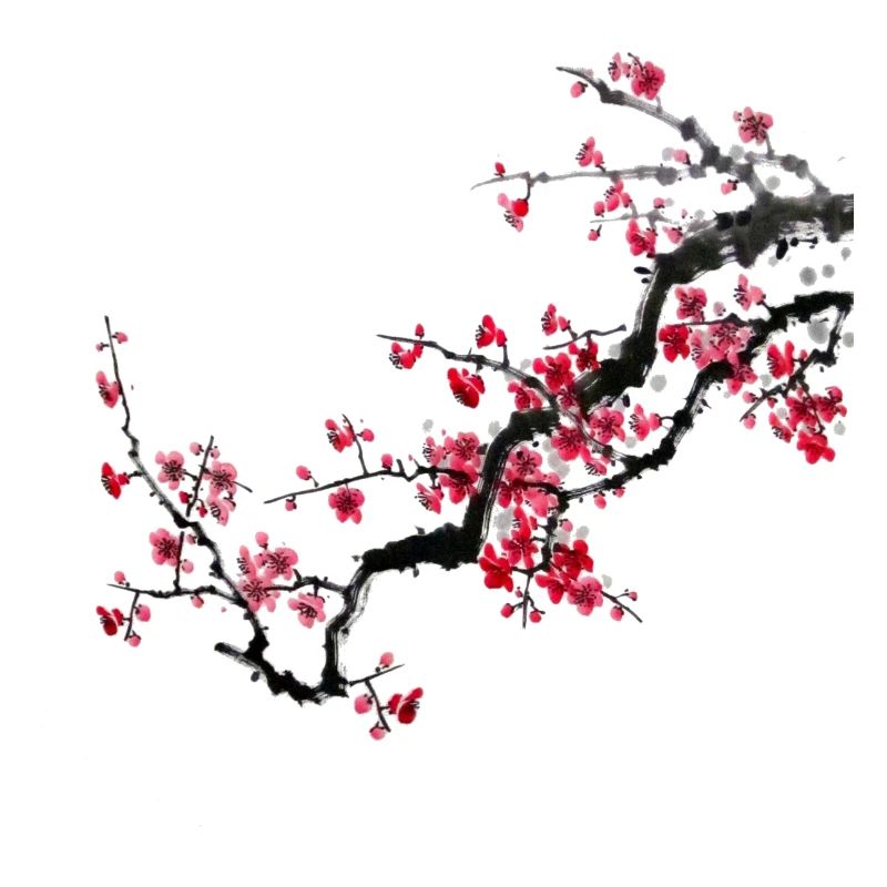 Japan cherry tree