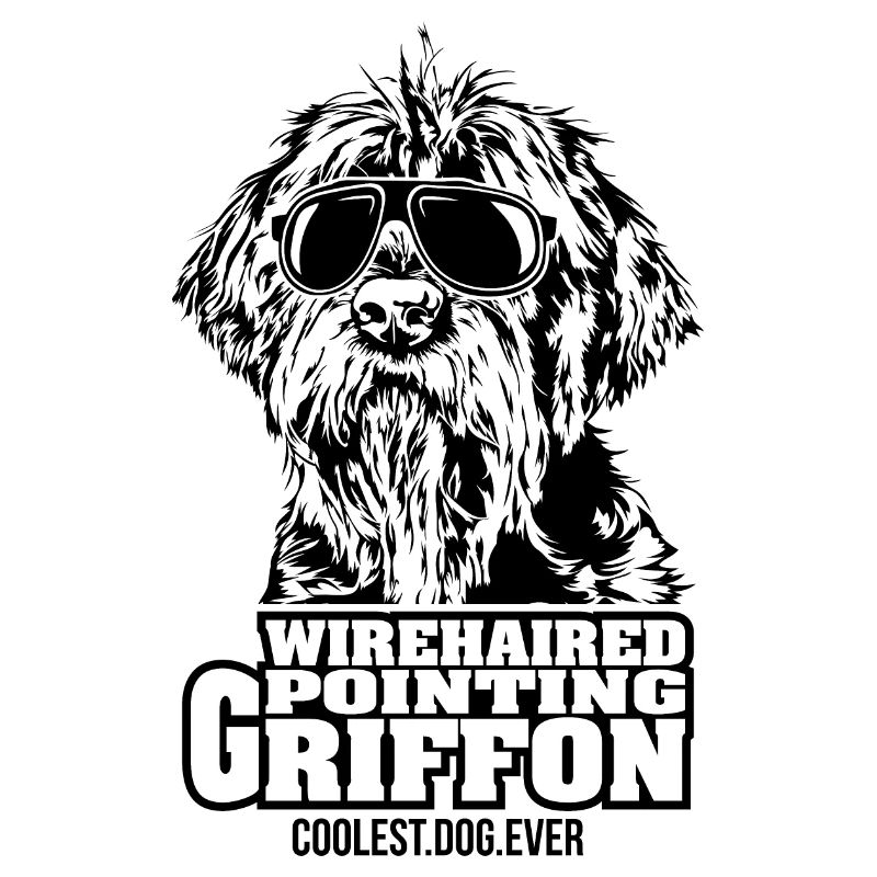 WIREHAIRED POINTING GRIFFON chien le plus cool de tous les temps Chiens