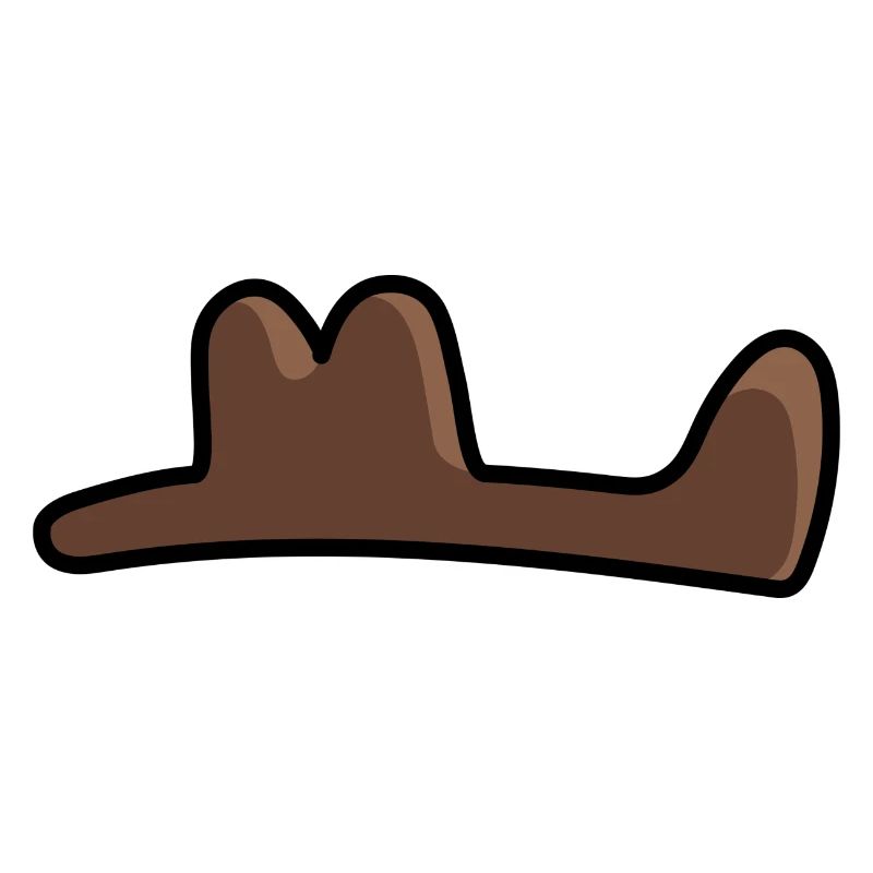 Surr - order completed western hat