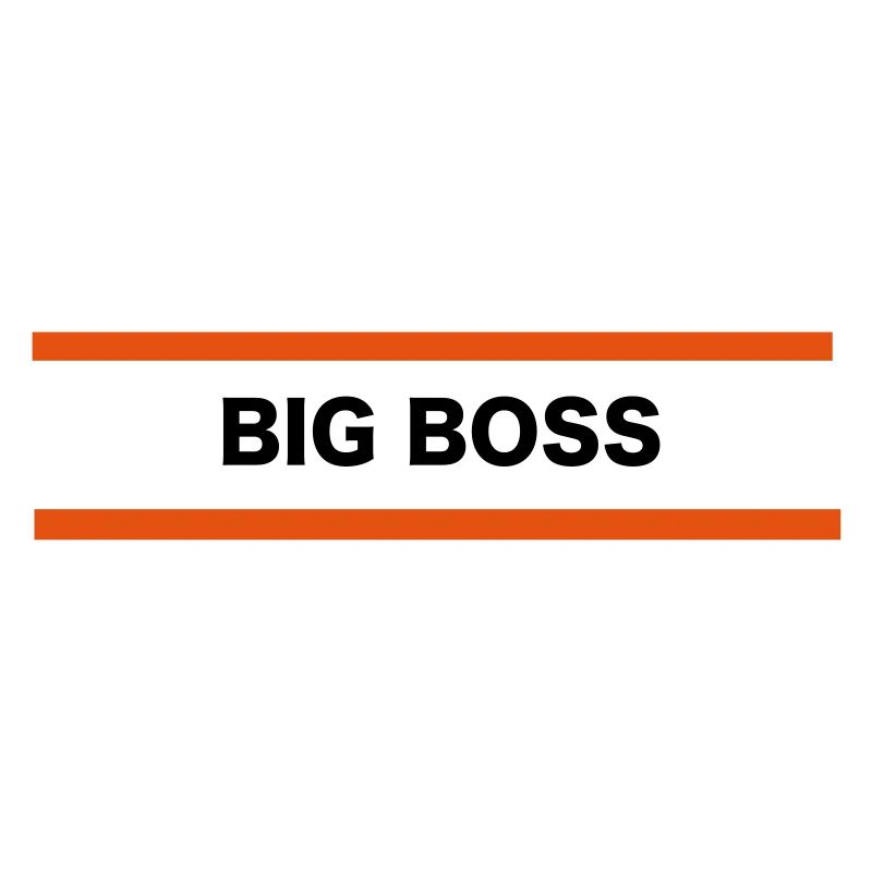 Big Boss